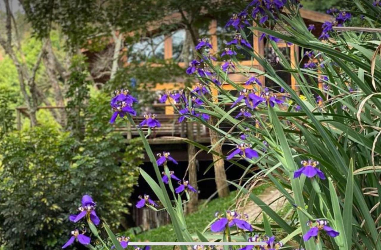Вилла Casa De Vidro Com Vista Mantiqueira - Com Cafe E Staff Кампус-ду-Жордау Экстерьер фото